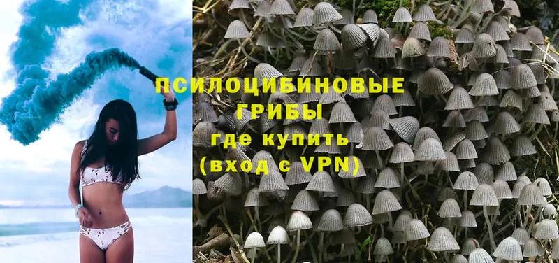 Псилоцибиновые грибы MAGIC MUSHROOMS  Волгодонск 